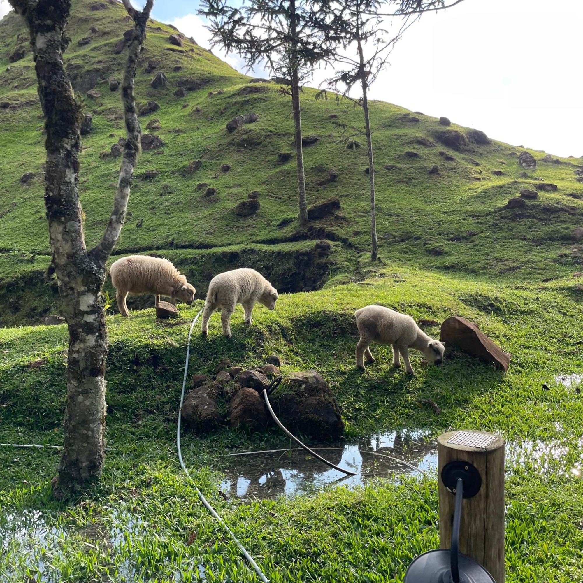 Cabana Efatah - Pousada Colina Dos Ventos Urubici Esterno foto